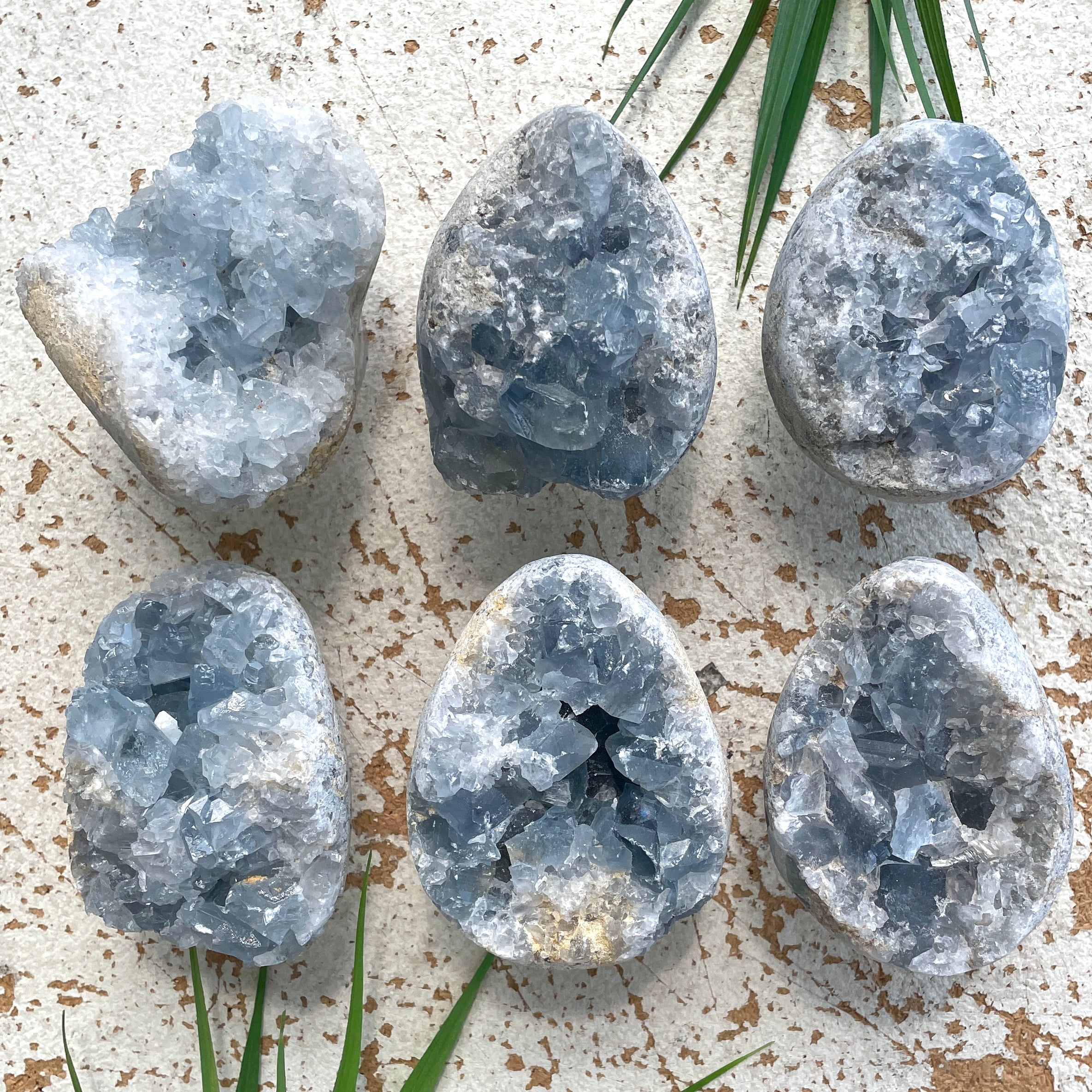 Celestite Cluster Small 1pc Celestite Cluster Small 1pc